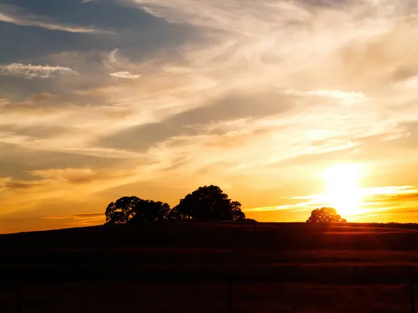 Захід Сонця Силует Дуба Пагорбі Хмарами Небі Стокове Фото