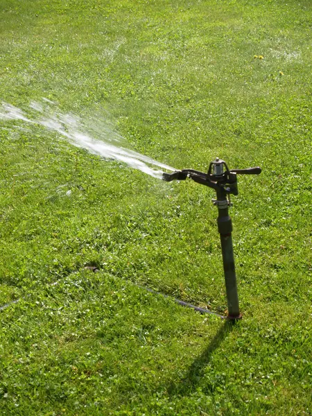 Sprinkler Metal Pipe Spraying Water Green Grass Park Ліцензійні Стокові Зображення