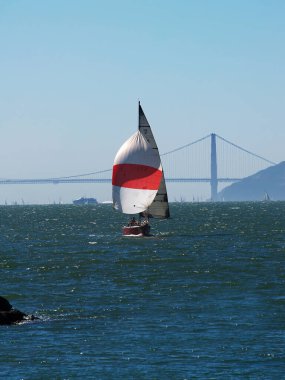 Yelkenli yelkenli San Francisco Körfezi 'nde Spinnaker yelkenlisi altında Berkeley Marina' ya doğru ilerliyor.