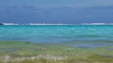 Düşük Kamera Açı Adam Mercan Resifi Moorea Mavi Okyanusu içinde Yüzüyor Güney Pasifik Fransız Polinezyası