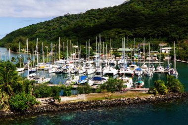 Yelkenli Marinalı Moorea Fransız Polinezyası Güney Pasifik Ağaç kaplı Tepeler Beyaz Bulutlar ve Mavi Gökyüzü