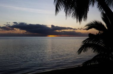 Moorea Adası açıklarındaki Güney Pasifik Okyanusu 'nda Hindistan cevizi ağacının silüetiyle güneş batıyor.