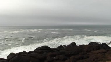 Lava Rock Shore ve Bulutlu Okyanus Dalgaları Oregon Körfezi Martı Uçuyor ve İniyor