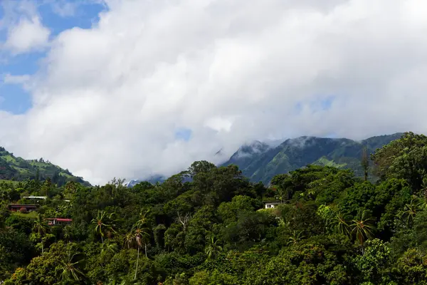 Yeşil Ağaç Kaplanmış Tepeler ve Beyaz Bulutlar Tahiti Papeete Fransız Polinezyası Güney Pasifik