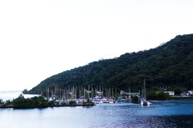 Marinada yelkenliler Moorea Fransız Polinezyası Güney Pasifik Tepelerinde yeşil ağaçlar
