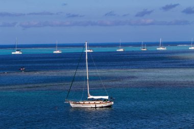 Moorea, Fransız Polinezyası - 11 Mayıs 2024 Mercan Resifi Moorea Güney Pasifik 'te Mavi Okyanus ve Gökyüzü