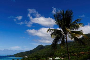 Moorea Fransız Polinezyası Güney Pasifik Adası Hindistancevizi Ağacı Mavi Gökyüzü ve Okyanus Beyaz Bulutları Binaları