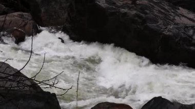 Whitewater Yağmuru Boyunca El Kamerası Hareketi Yosemite Ulusal Parkı 'nı doldurdu