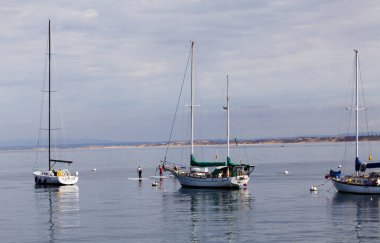 Monterey, California, ABD - 17 Ekim 2015: Paddle Sörf tahtaları Monterey Körfezi 'nde Bulutlu Yelkenli Tekne Monterey Körfezi' ni geçiyor