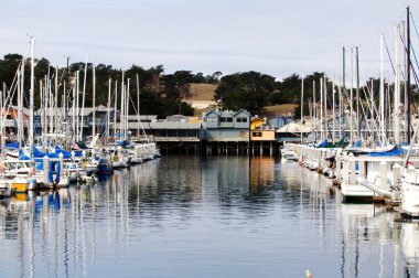 Monterey, California, ABD - 17 Ekim 2015: Stilts Hill Trees 'deki Binalar ve Bulutlu Gökyüzü ile Marina' daki Yelkenli Tekneler