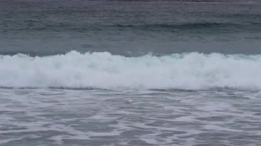 Kaliforniya 'nın en bulutlu gününde, okyanus dalgalarının birkaç kuşla kırılma görüntüsü.