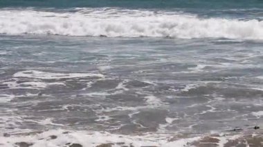 Santa Monica California 'da yüzen deniz yosunlarıyla Kum Sahilinde Okyanus Dalgalarının Sıkı Çekimi