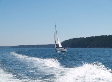 Birch Bay, Washington, United States - August 13, 2006: Sailboat Under Sail On Bay With Blue Sky And Green Trees clipart