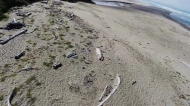 Drone 'un Kuzey Kaliforniya' daki Kum Sahili 'ndeki görüntüleri.