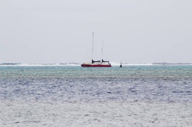 Moorea, French Polynesia - May 18, 2024: Catamaran Sailboat Anchored Inside Of Breakers On Reef clipart