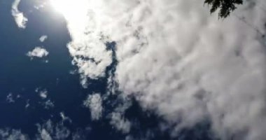 Mavi Gökteki Bulutların Zaman Hızı Ağaçların dallarıyla Gri Geniş Açı Gidiyor