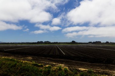 Mavi Gök ve Beyaz Bulutlu Tarım Alanları Toprak Bitkileri Tepeleri ve Ağaçlar Watsonville California