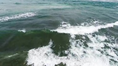 İnsansız hava aracı, Kuzey Kaliforniya 'yı deniz yosunu ve sığ deniz dibiyle dalgalandırıyor.