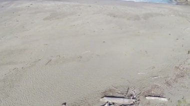 Kuzey Kaliforniya Kum Kumsalı, Drift Wood insansız hava aracıyla okyanusa doğru uçuyor.