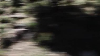 Doğu Sierra Nevada yol kenarı Yeşil Ağaçlar Tepeleri ve Mavi Gökyüzü Kısa Görüş Aracı