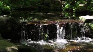 Yosemite Ulusal Parkı üzerinde Yeşil Bitkilerle Küçük Dereler Şelalesi