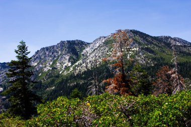 Dağlar Yeşil ve Ölü Ağaçlar Güney Tahoe Gölü Kaliforniya Mavi Gökyüzü 