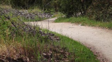 Sallanan Bitkiler ve Kelebek Folsom California ile Çamur Ayak Yolu