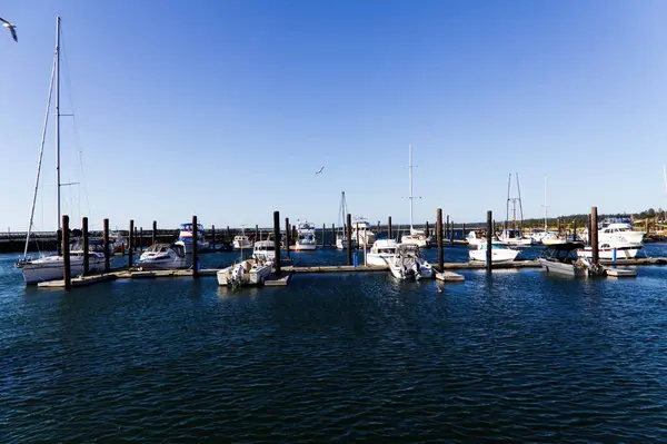 Bandon, Oregon, ABD - 23 Ağustos 2012: Mavi Gök ve Su Altında Tekneler