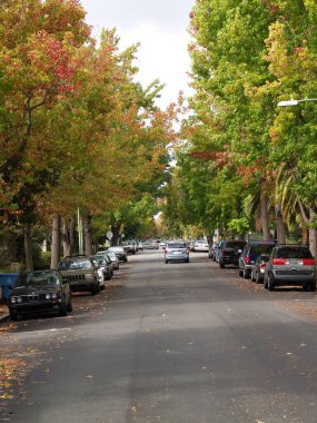 Palo Alto, California, ABD - Novermber 02, 2008: Park halindeki arabaları ve ağaçları olan küçük bir üniversite kasabasında sokak