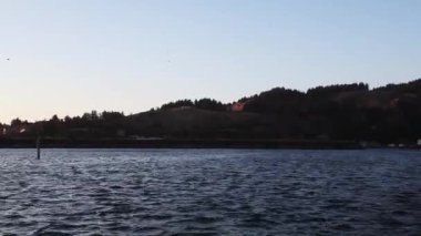 El bilgisayarı Serseri Nehir Kuşları Tepeler ve Ağaçlarla Mavi Gökyüzünde Uçuyor 