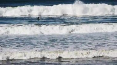 Dalgıç kıyafetli iki adam Kuzey Kaliforniya sörf tahtalarında dalgalar bekliyor. 