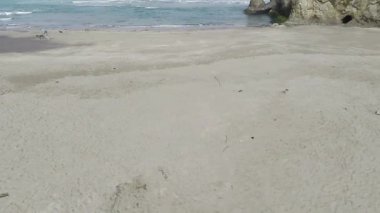 Kum Sahili 'nin karşısındaki İHA görüntüleri Kuzey Kaliforniya' da Köpeklerle Sörf yapan Kişi