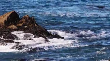 Okyanus dalgalarının Monterey Körfezi Pasifik Korusu California 'ya çarpması.