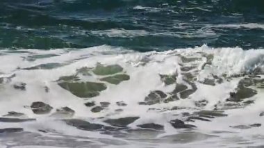 Okyanus Dalgalarının Kıyıya yakın Deniz köpüğüyle Kırılma ve Kaliforniya Limanında Kuş Yüzme