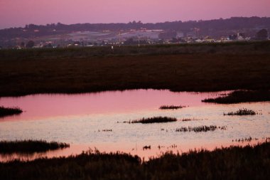 Kaliforniya Islak Toprakları Günbatımında Salinas Nehri 'nin Ağzı' nın yakınındaki Binalarla