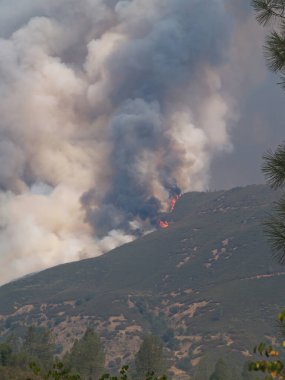Gri ve siyah duman, tepenin yamacındaki alevlerle dolduruyor.