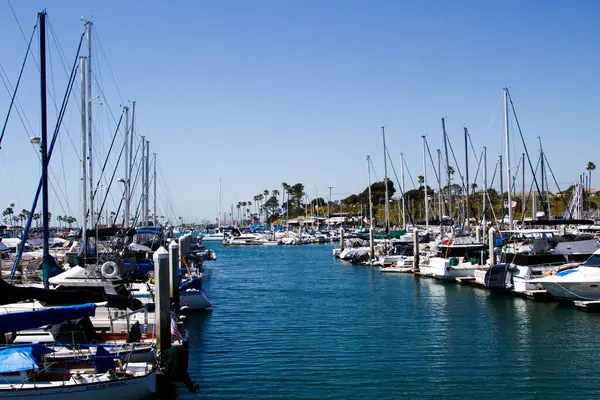 Oceanside, California, ABD - 08 Nisan 2024: Deniz Gökleri ve Ağaçlarla dolu Marina
