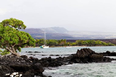 Kona, Hawaii, ABD - 3 Haziran 2011: Okyanus Siyah Volkanik Kaya Ağaçları Tekneleri ve Gökyüzü Büyük Adası