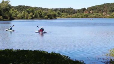 Santa Rosa, Kaliforniya, ABD - 17 Temmuz 2025: Yeşil Ağaçlar ve Mavi Gökyüzü ile Gölde Yüzen Kanolar