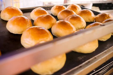 Pastanedeki tepsilerde taze pişmiş ekmek.