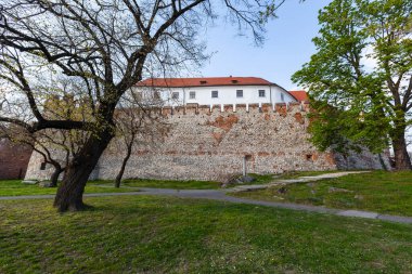 Siklos Kalesi baharda detaylarla dolu. Siklos Kalesi, Macaristan 'ın Siklos şehrinde bir ortaçağ kalesidir..