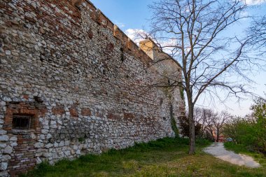 Siklos Kalesi baharda detaylarla dolu. Siklos Kalesi, Macaristan 'ın Siklos şehrinde bir ortaçağ kalesidir..