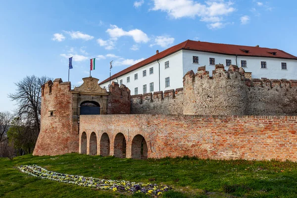 stock image Siklos castle in spring with details. The Castle of Siklos is a medieval castle in Siklos, Hungary.