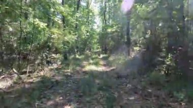 Toprak yol, çamurlu yol ve yağmur ormanı.