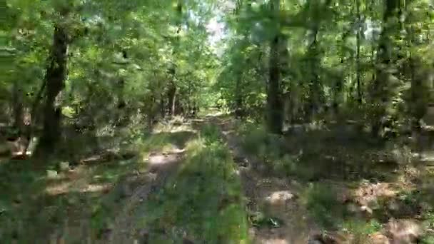 Špinavá Cesta Blátivá Cesta Deštný Prales — Stock video