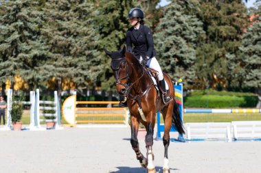 Babolna Macaristan 'da zıplamayı göster. Babolna Macaristan - 11 Nisan. 2024: Babolna Hungar 'da bilinmeyen binici At Atlama Yarışması' nda yarışıyor