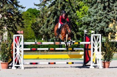 Babolna Macaristan 'da zıplamayı göster. Babolna Macaristan - 11 Nisan. 2024: Babolna Hungar 'da bilinmeyen binici At Atlama Yarışması' nda yarışıyor