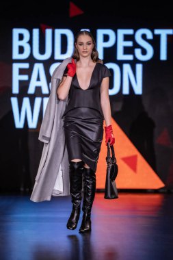 Budapeşte Macaristan, 22 Kasım: Budapeşte Moda Haftası modeli, 