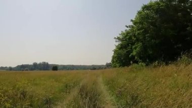 Avrupa 'da bir 4x4 safarinin izleri ve izleri. Yaz ağacı çayırında ön manzara.