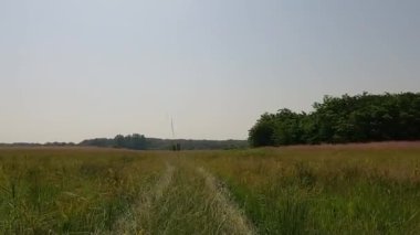 Avrupa 'da bir 4x4 safarinin izleri ve izleri. Yaz ağacı çayırında ön manzara.